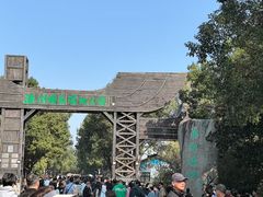 -溱湖国家湿地公园