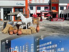 -向外鱼乐·土菜·虹鳟鱼