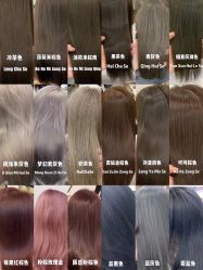 -IP SALON