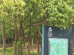 -广富林郊野公园