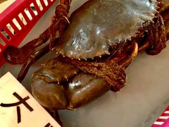 -龙海鲜螃蟹王(宏茂桥店)