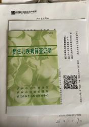 -玛丽亚妇产医院