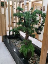 -芳朵美容养生SPA