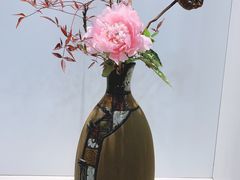 -上海辰山植物园