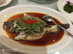 -金米箩大酒店(五角场店)