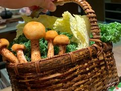 -蘑界·野生菌火锅(深业上城店)