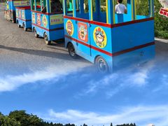 -武陵山森林公园