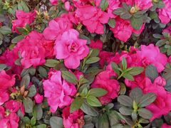 -八一路好吃街(雨田商务大厦店)