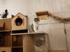 -万达广场(东莞厚街店)