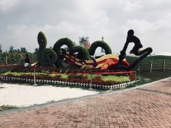 -荷兰花海