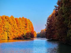 -上海海湾国家森林公园