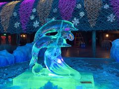 -哈尔滨热雪奇迹
