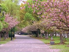 -石湖景区