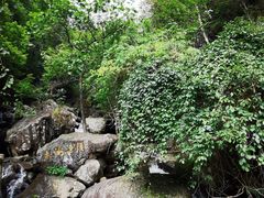 -太湖源风景区