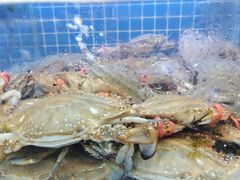 -大众海鲜(巨龙北路店)