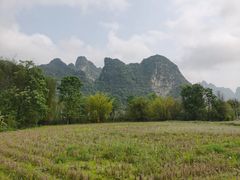 -明仕田园