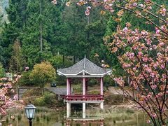 -龙里油画大草原旅游区
