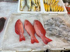 -东河市场
