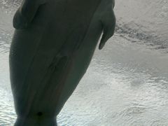 -珠海长隆海洋王国