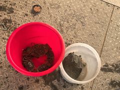 -粮心小农·大头虾亲子生态园(长发店)