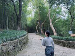 -杭州半山国家森林公园