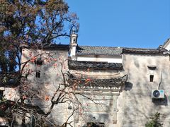 -塔川景区