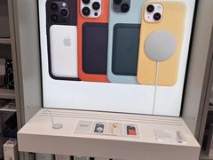 -Apple授权专营店(洪山镇万象城店)