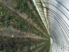 雨发生态园-云幽谷旅游区
