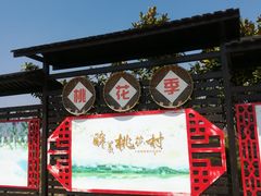 -南汇桃花村