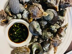 -魚當家