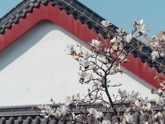 -堤角公园