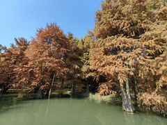 -青山湖景区