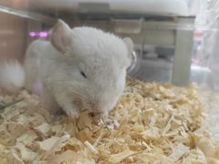 -三旗百汇商品城