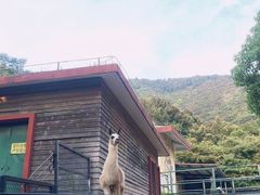 -无锡动物园·太湖欢乐园