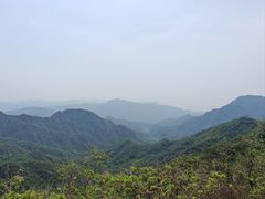 -大岭沟猕猴桃谷风景区