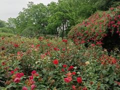 -江苏三台山国家森林公园