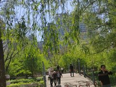 -长白岛森林公园