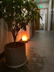 -芳香乐府疗愈空间·SPA·冥想