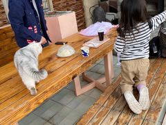 -喵屿·大理花园猫咖