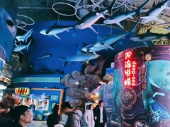 -烟台海昌鲸鲨海洋公园