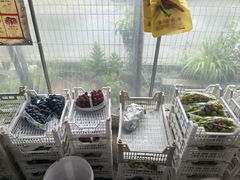 -马陆小张葡萄园农家乐