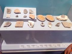 -湖南省地质博物馆