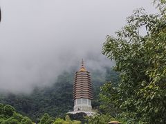 -深圳仙湖植物园
