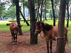 -Club Med地中海俱乐部·桂林度假村