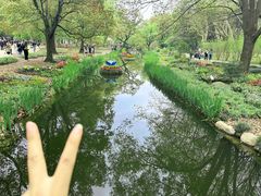 -上海共青森林公园