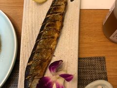 花涧肆招牌卷-月见·烧鸟酒场居酒屋(农科路店)