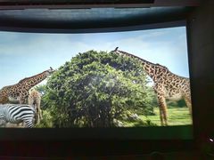 -中国杭州低碳科技馆