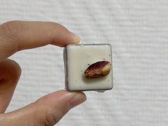 -VENCHI 闻绮(北京汉光店)
