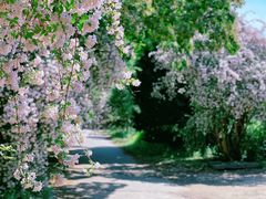 -国家植物园南园