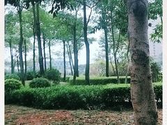 -海沧湾公园